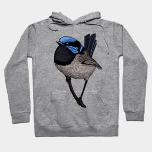 Fairy wren drawing 3 Hoodie